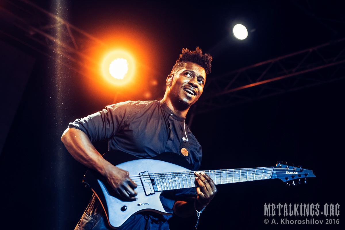 1 - Animals as Leaders