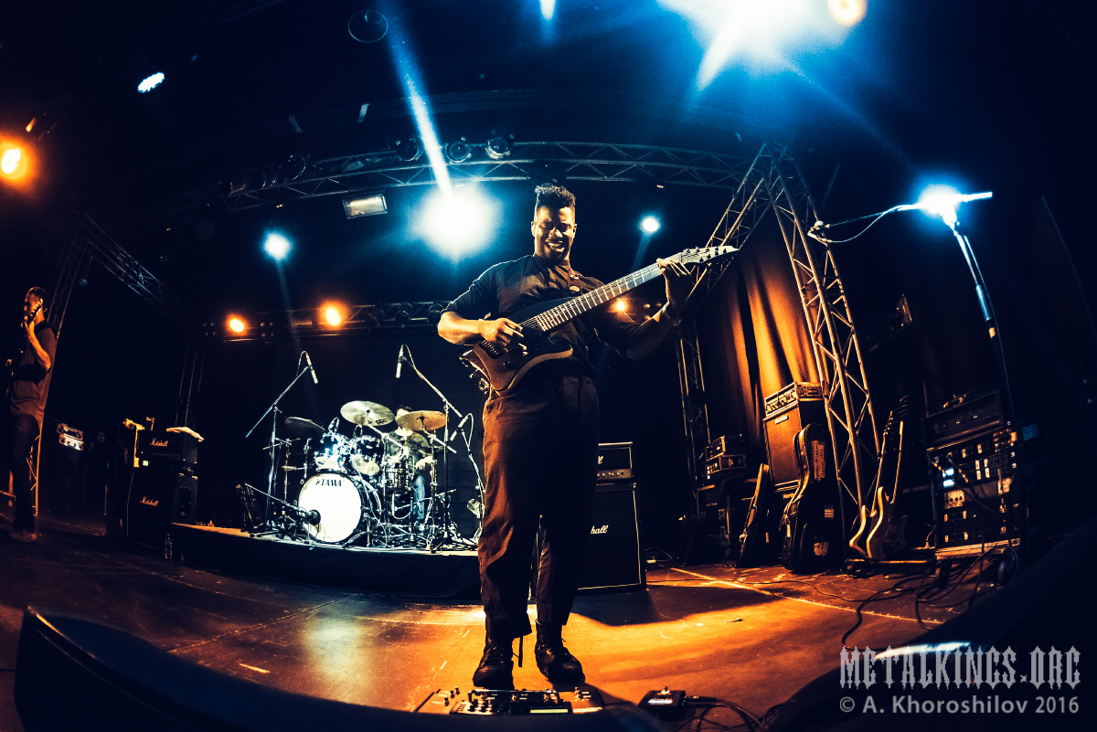 10 - Animals as Leaders