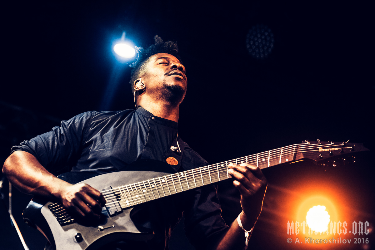 16 - Animals as Leaders