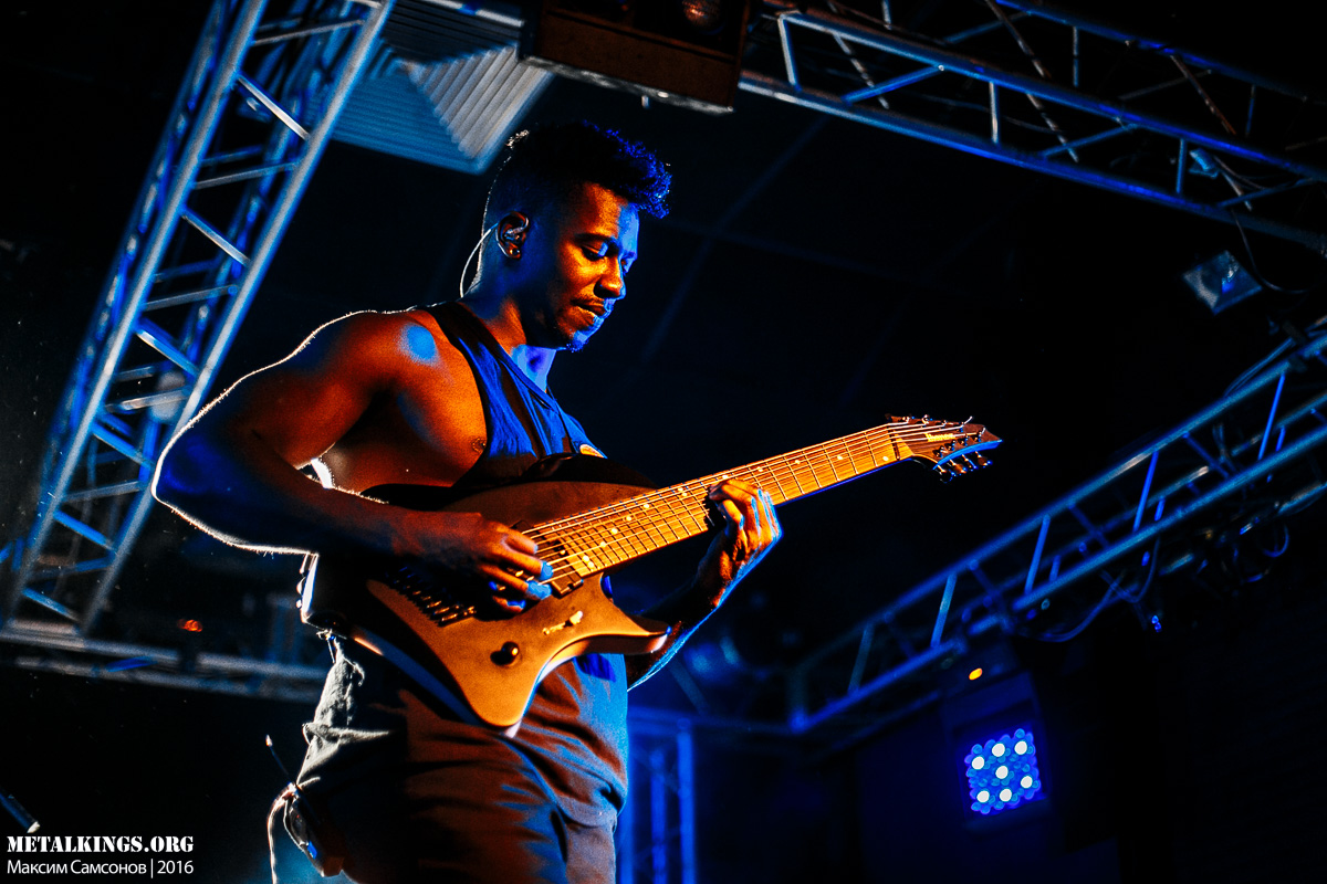 3 - Animals as Leaders