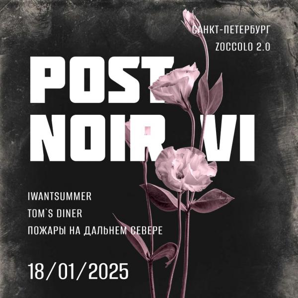  Post Noir Vi    