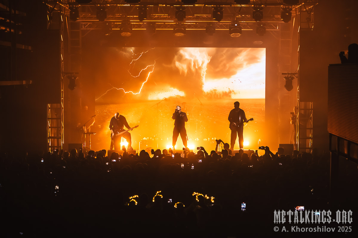 43 - 