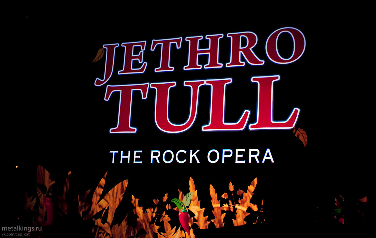 3 - Jethro Tulls Ian Anderson