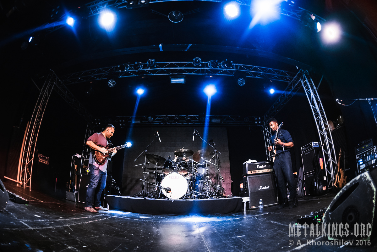 3 - Animals as Leaders