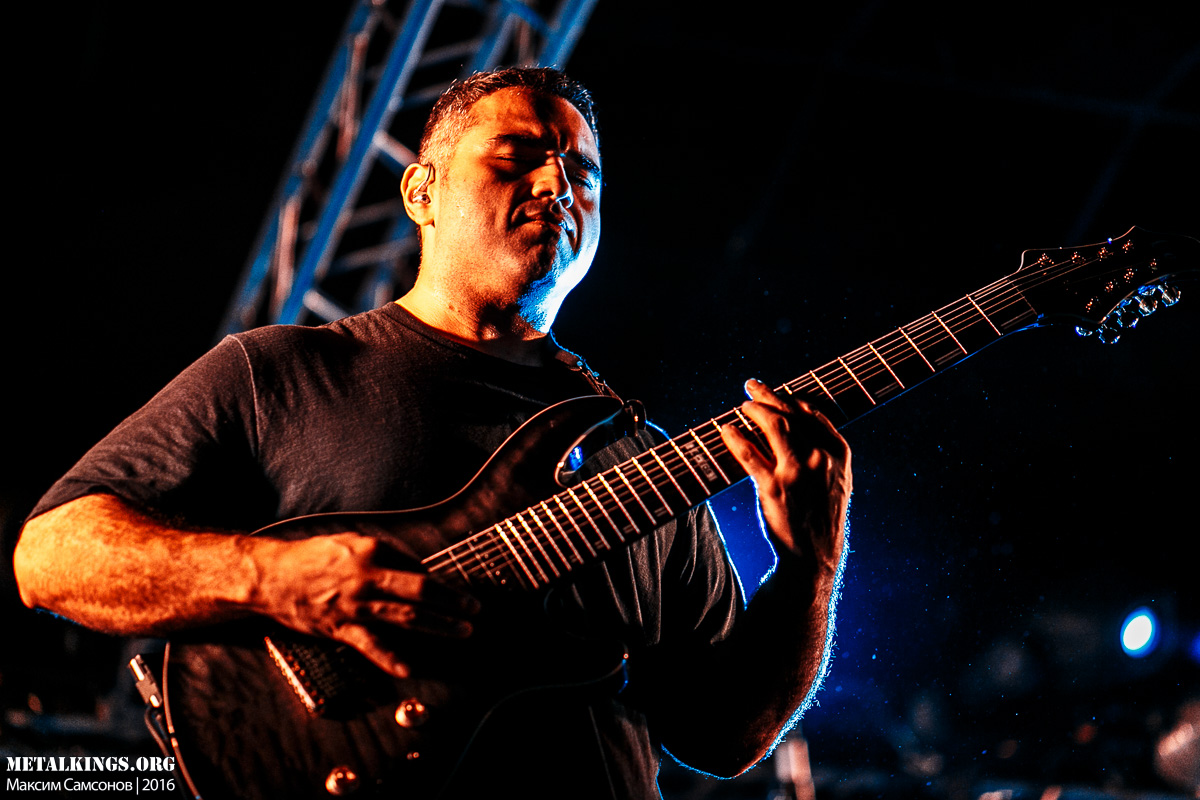 13 - Animals as Leaders