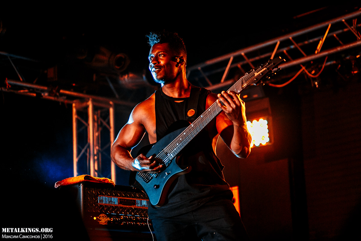 17 - Animals as Leaders