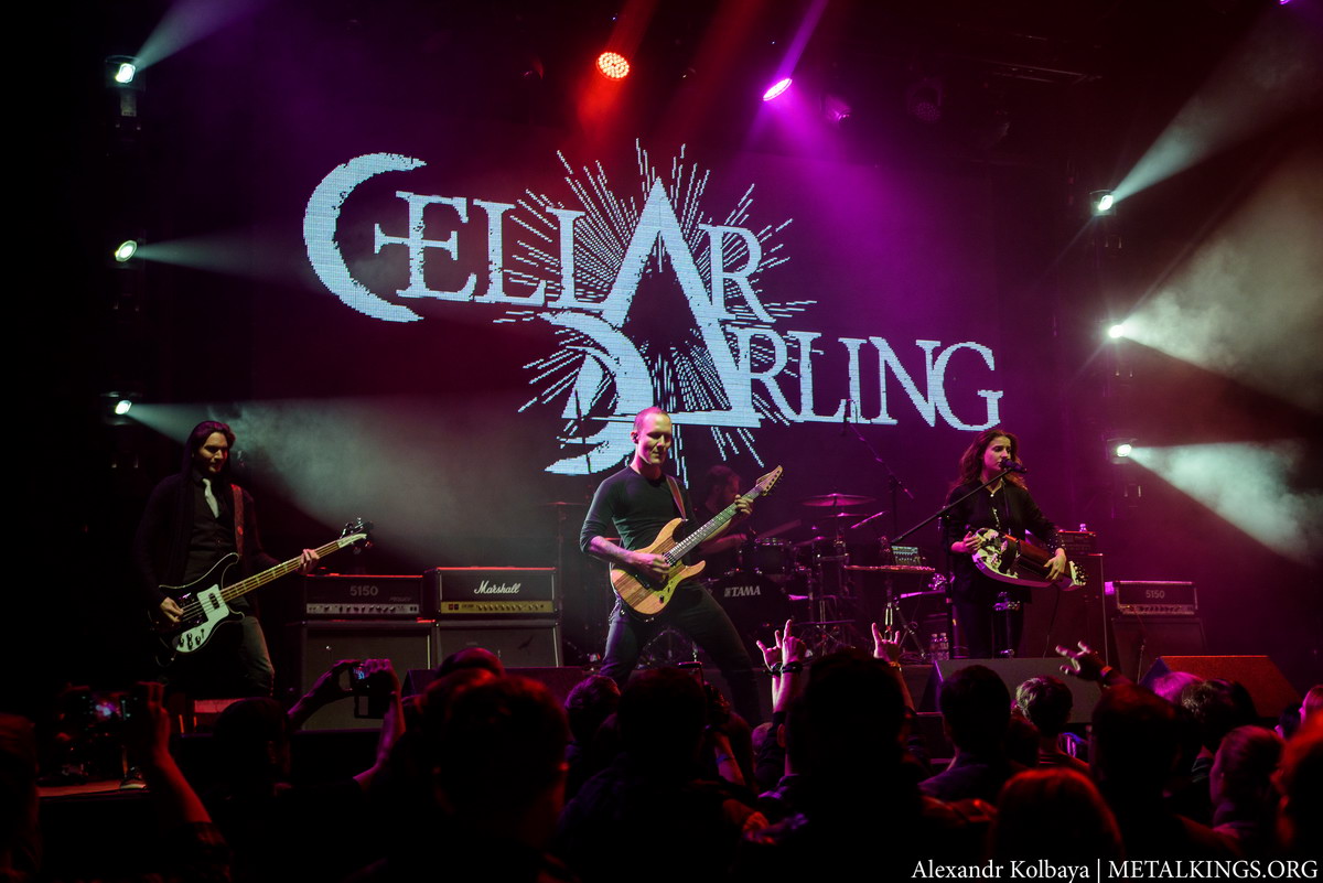 6 - Cellar Darling
