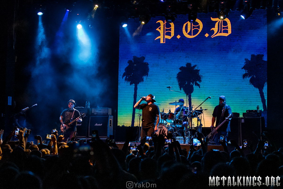 47 - P.O.D.