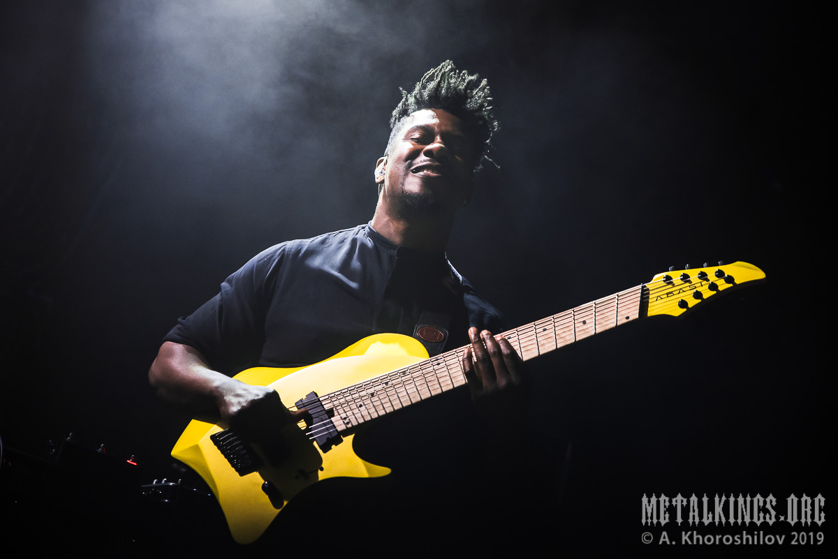 1 - Animals as Leaders