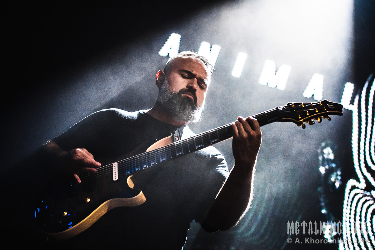 6 - Animals as Leaders