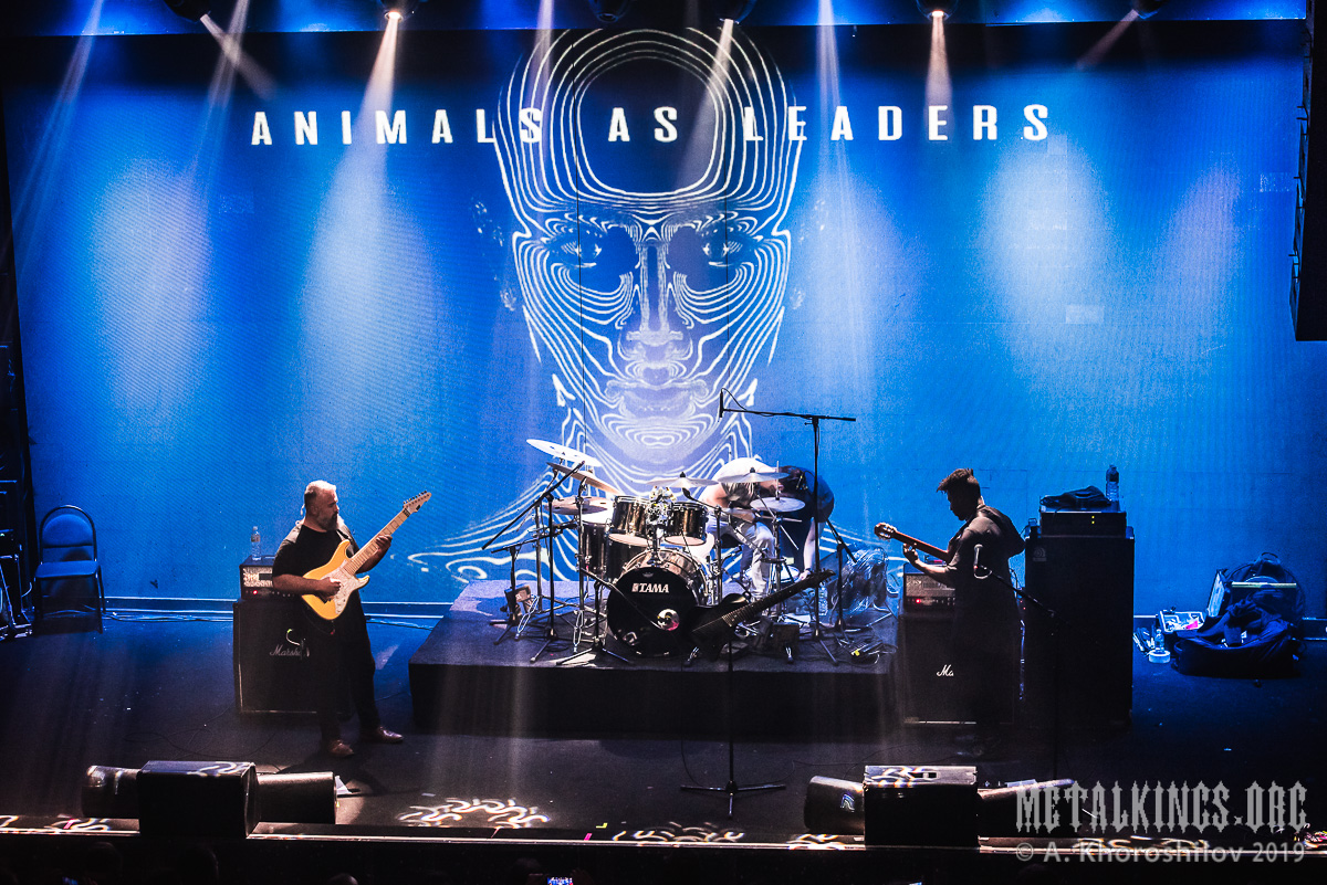 15 - Animals as Leaders