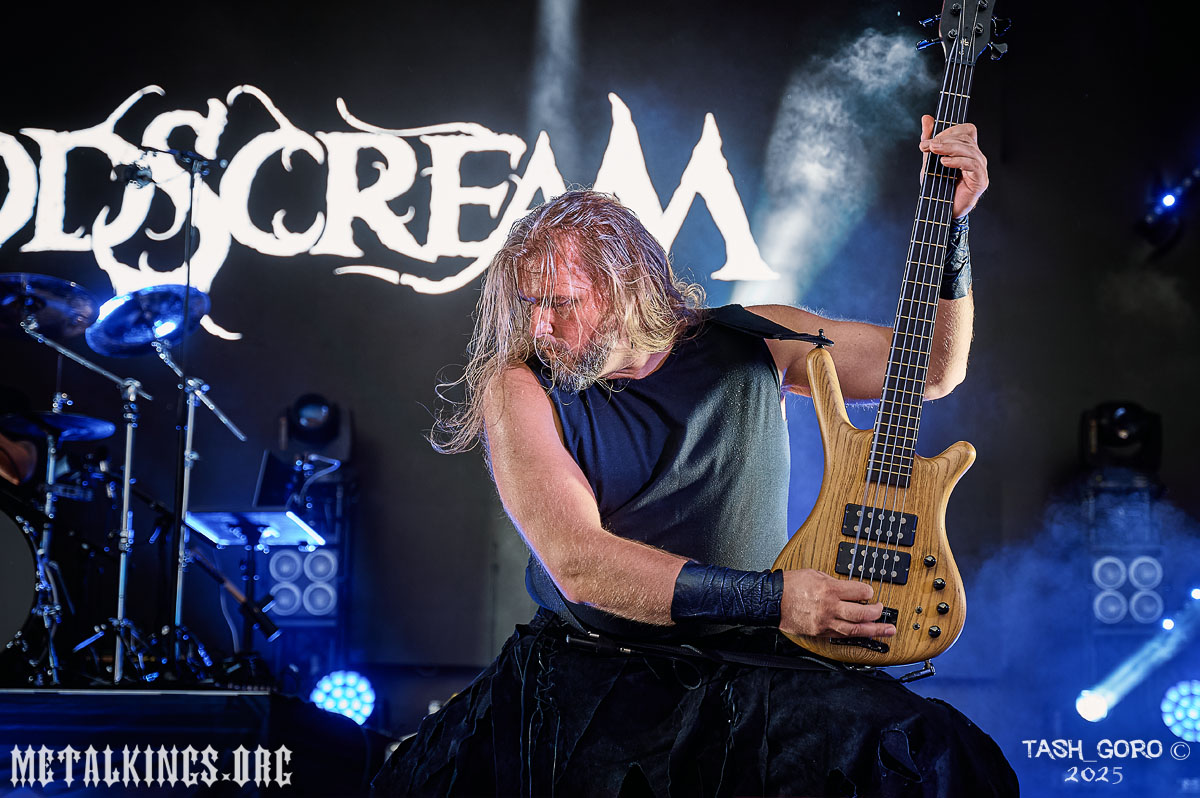 18 - Woodscream